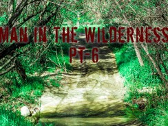 Man in the Wilderness – Pt-6