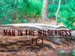 Man in the Wilderness – Pt-3