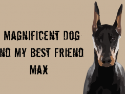 A Magnificent Dog and My Best Friend – Max