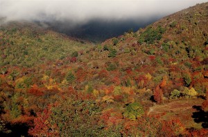 1024px-Graveyard_Fields_3