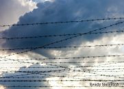 How To Survive Occupied America